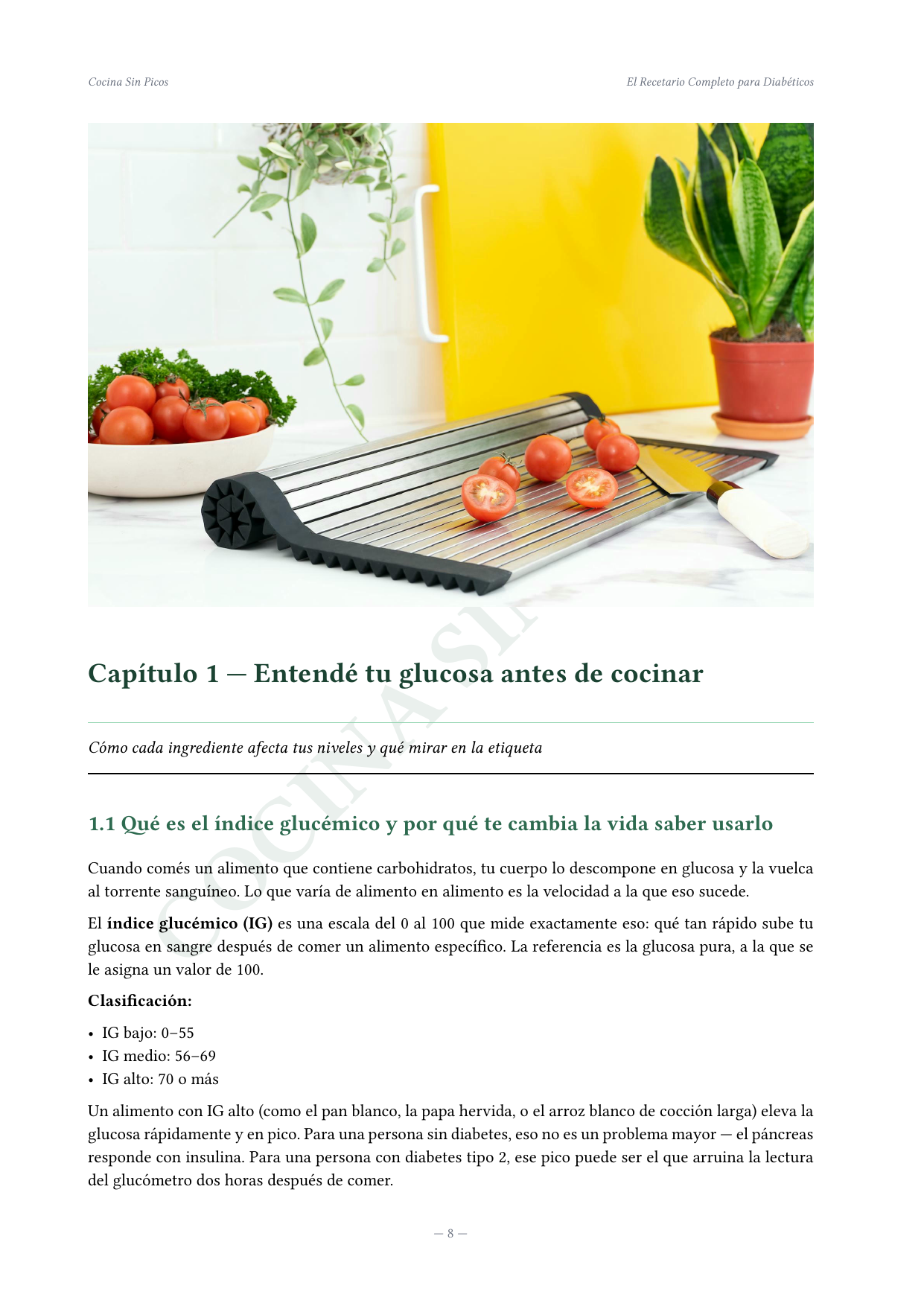 Página interior de Cocina Sin Picos